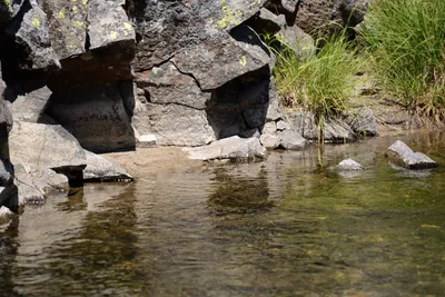 DSC_3624 (Large).JPG